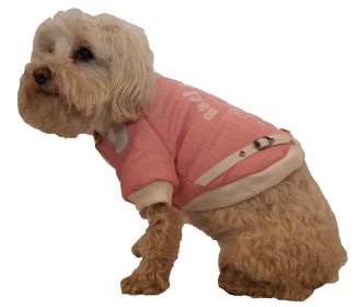 Varsity-Buckled Collared Pet Coat (size: small)